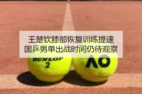 王楚钦膝部恢复训练提速 国乒男单出战时间仍待观察